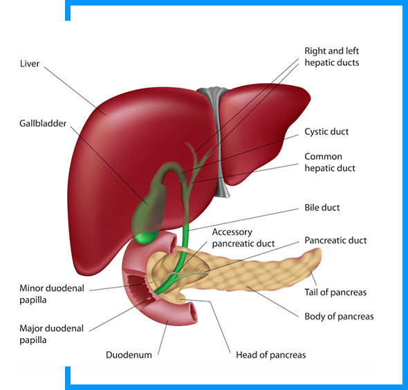 Dr. Anil Sharma is a pioneer of Laparoscopic Solid Organ Surgeries, in Delhi