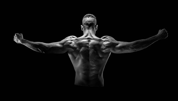 Best Testosterone Booster Supplement For Men for Beginners at the Gym