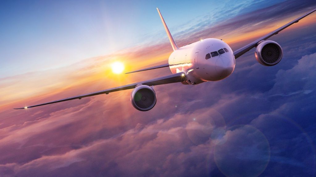 American Airlines Pet Fees: Is It Worth Bringing Your Pet on a Plane?