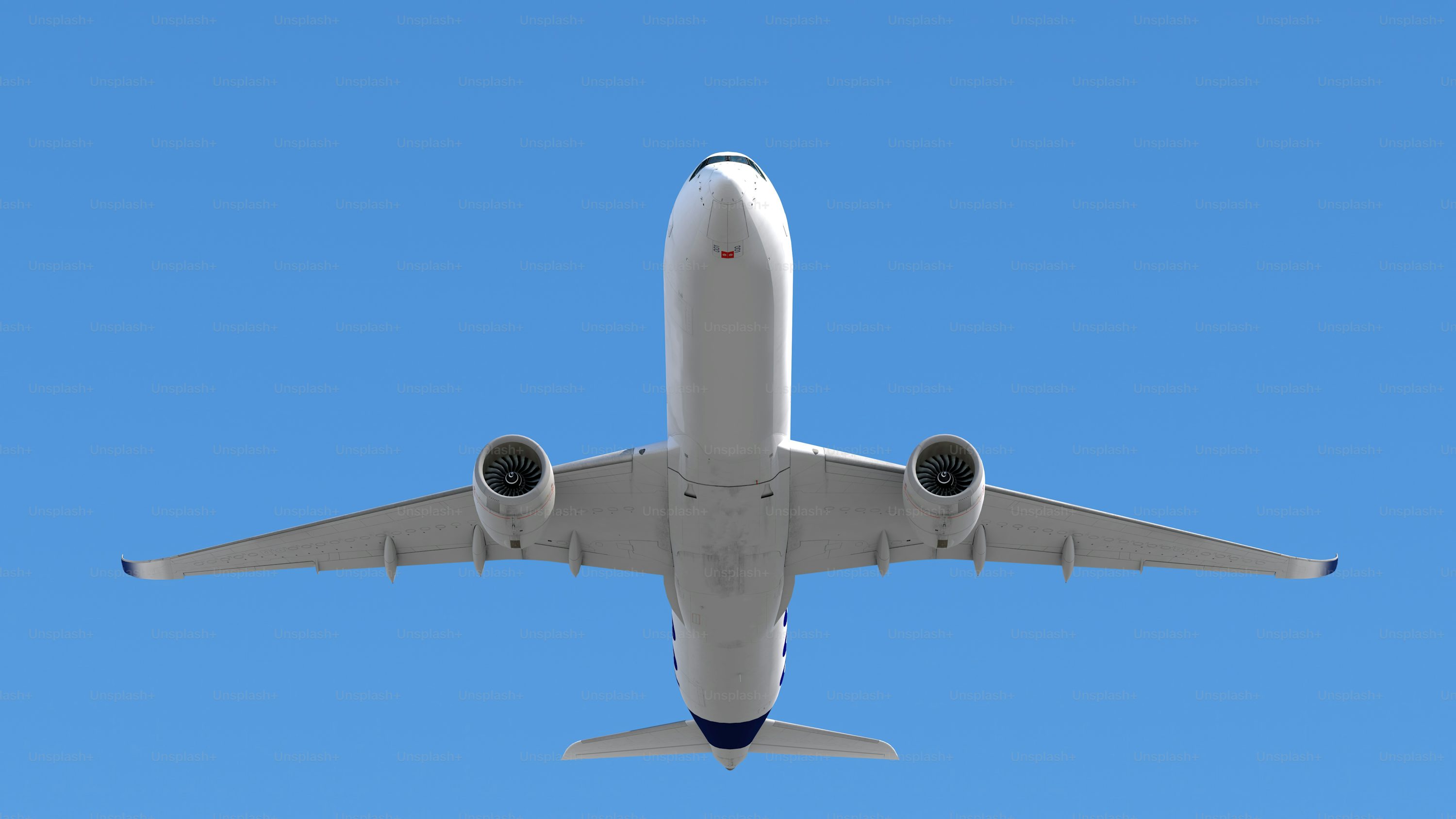 American Airlines Pet Policy and Fees: Everything You Should Expect