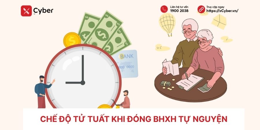 Che do tu tuat BHXH tu nguyen 2026 Quyen loi va thu tuc huong