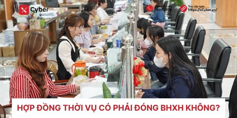 Quy dinh chi tiet ve hop dong va bao hiem cho lao dong thoi vu hien nay
