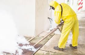 Affordable Pest Control Services in Kerala for Healthy Living