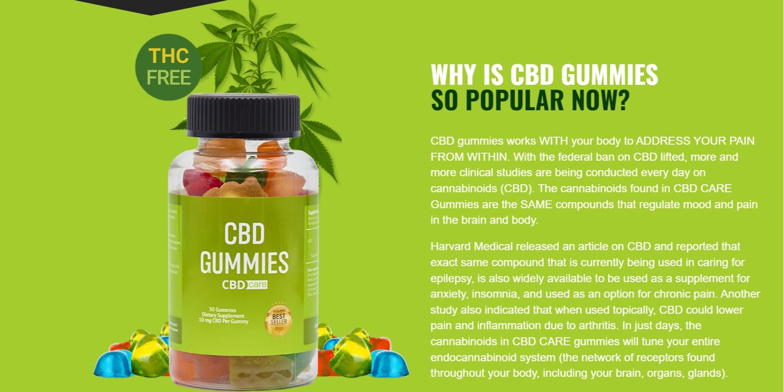 Vital Harvest CBD Gummies Review: What to Know Before You Buy