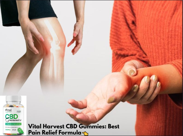 Vital Harvest CBD Gummies (Official™) - Pain Relief, Any Effects, Best Results Is it Safe or legit?