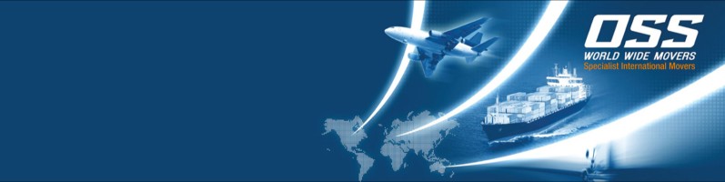 Some Tips for International Relocation Services