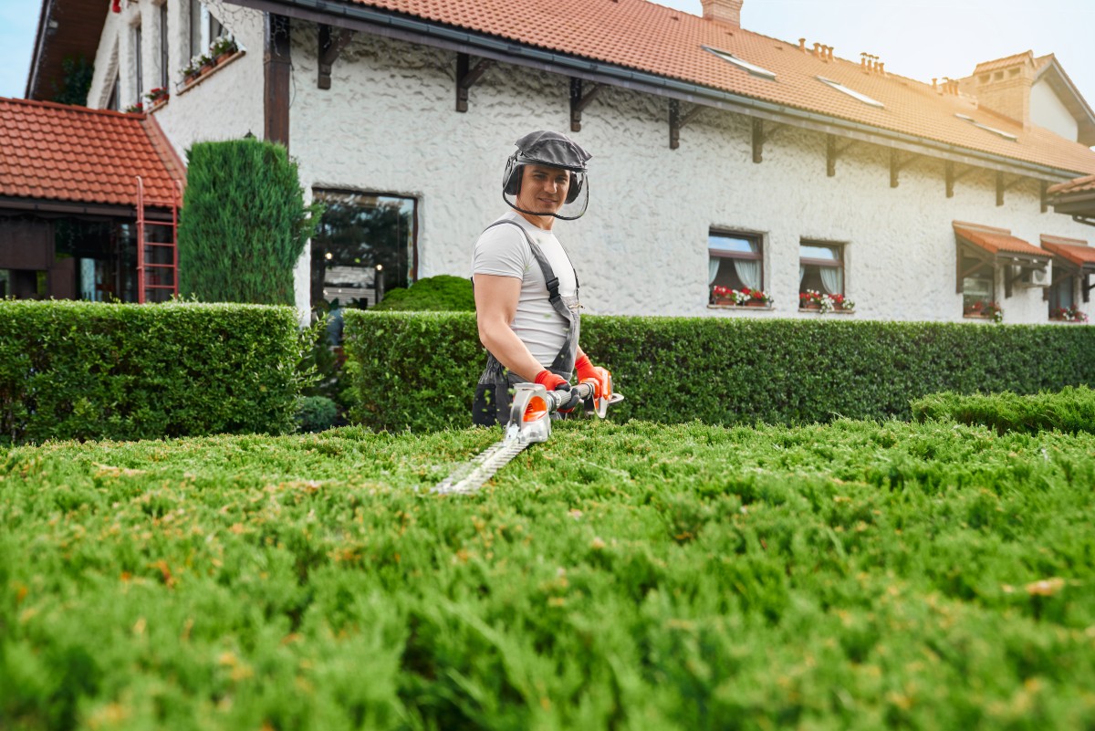 Quality Outdoor Care for Clarence Center Properties