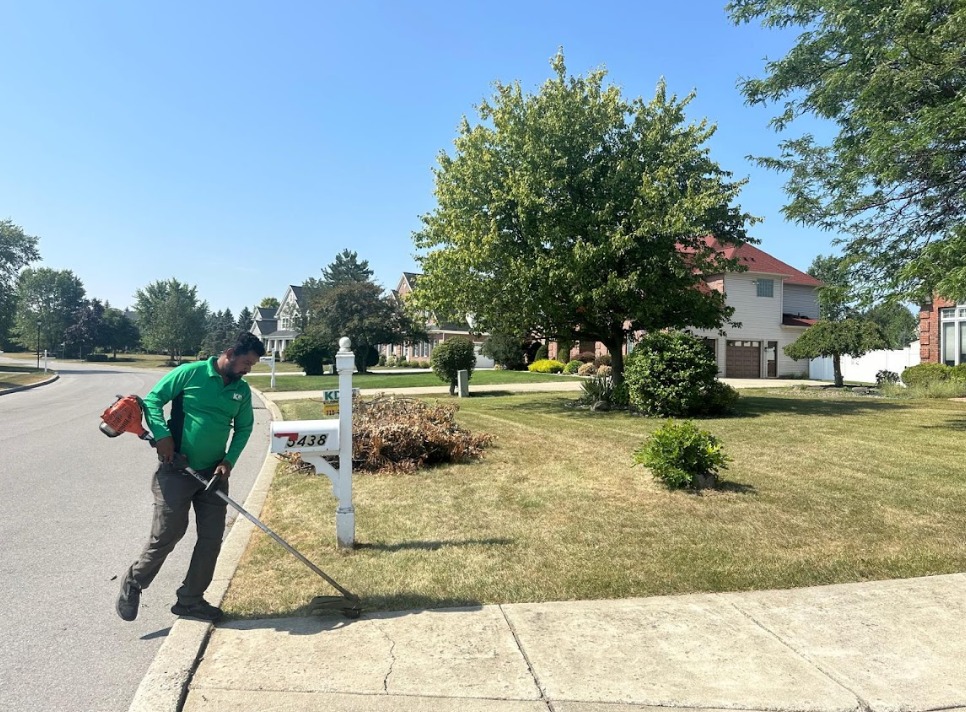 Quality Landscaping Services Built for Western New York