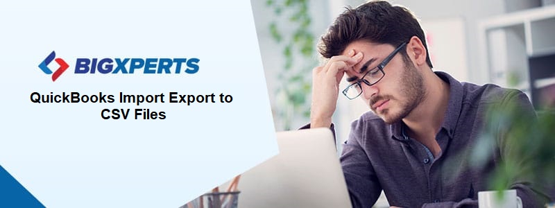 QuickBooks Import Export to CSV Files