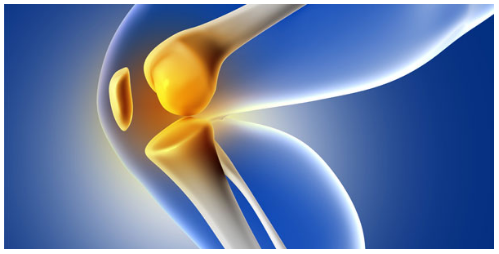 Orthopedic Surgeon in Celebration Florida
