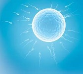 Male Infertility Market 2020 World Analysis and Forecast to 2025