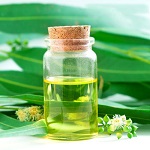 Eucalyptus Oil Market 2020 World Analysis and Forecast to 2025