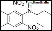 World Pendimethalin Market Manufacturers Analysis Report 2020-2025