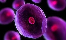 Cell Expansion Technologies Market 2020 World Analysis and Forecast to 2025