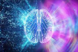NooCube brain pill: 5 Dumb Mistakes I Made with NooCube brain pill Supplements’s (So You Don’t Have To)