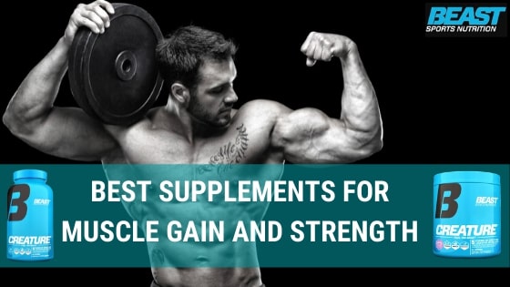 Best Supplements For Muscle Gain and Strength
