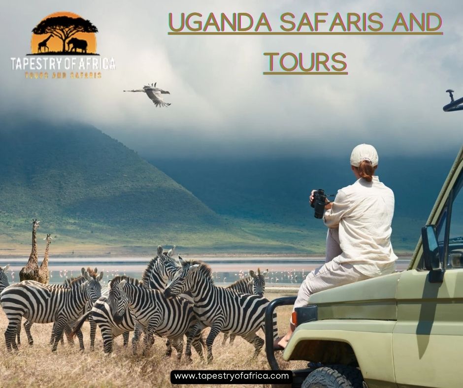 Journey Into the Wild: Discover the Magic of Uganda Safaris and Tours