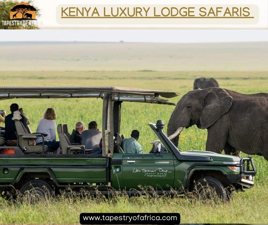 Experience Kenya’s Finest Luxury Lodge Safari Adventures