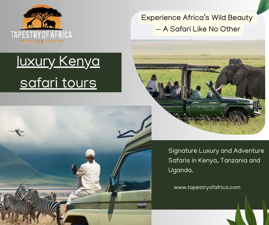 Safari Sophistication: Discover Kenya in Ultimate Comfort
