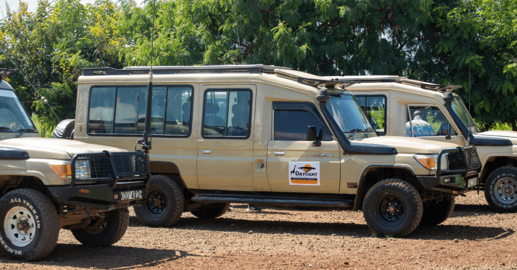 East Africa Safari Experiences with Daylight Adventures
