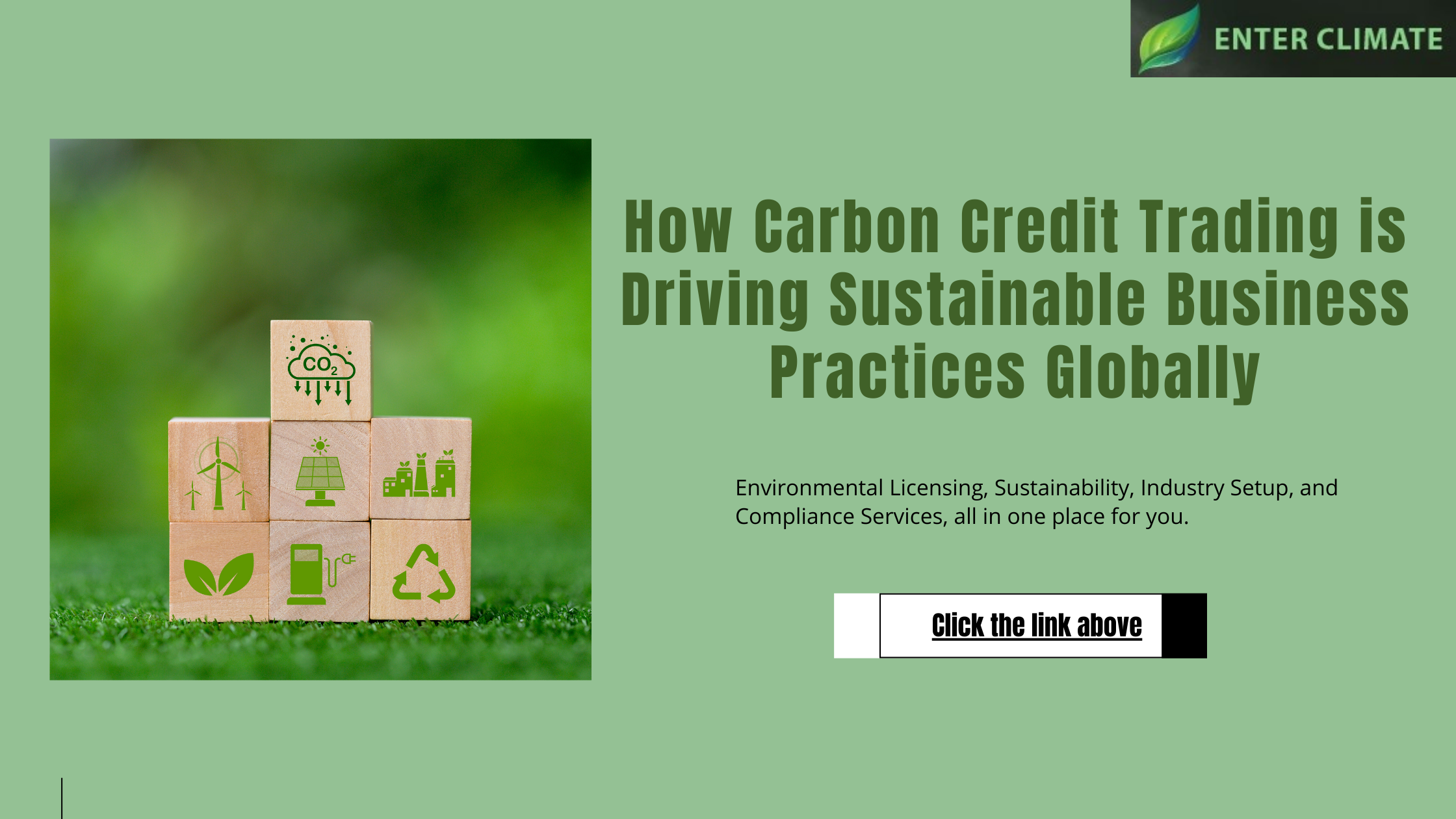 How Carbon Credit Trading is Driving Sustainable Business Practices Globally