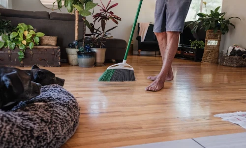 Keep Your Floors Fresh with Carpet Cleaning Palmerston North from Kiwi Clean & Green
