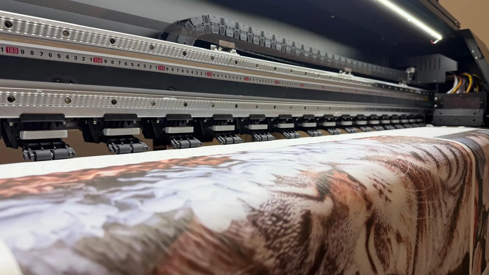 Discover A Print Nest: Your Destination for Custom Rugs and Home Decor