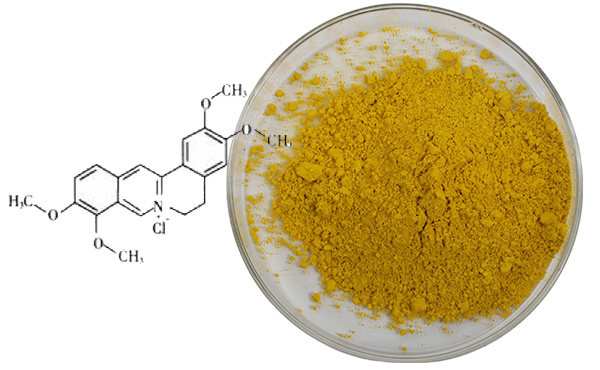 The Specific Compound: Sourcing Fibrauretine Palmatine Chloride from China
