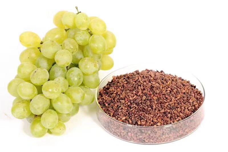 OPC in Bulk: What You Need to Know About China’s Oligomeric Proanthocyanidins Market