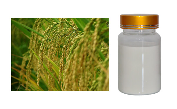 The White Powder Standard: Sourcing Ferulic Acid from China's Factories