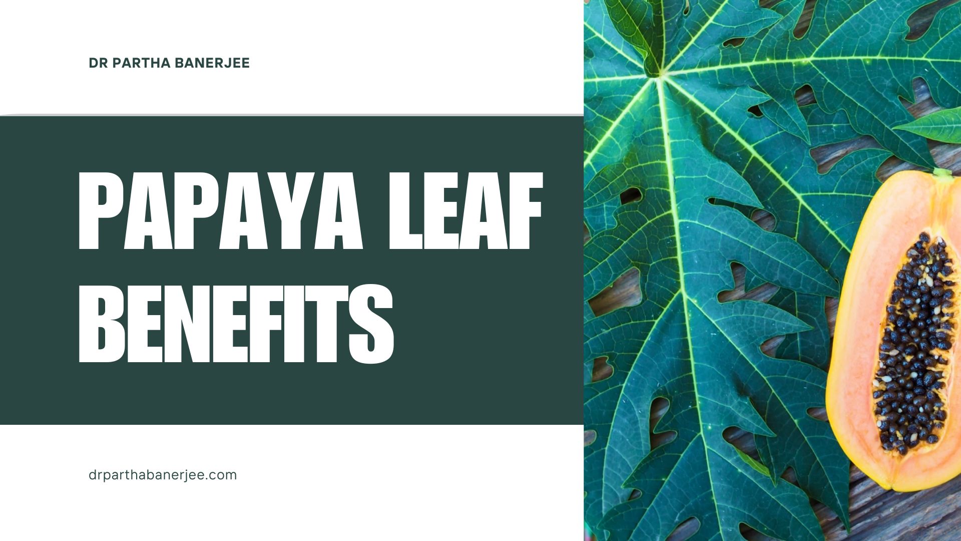 How Papaya Leaf Benefits Contribute to Better Digestion and Overall Health