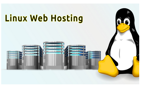 Linux Web Hosting with cPanel Control Panel