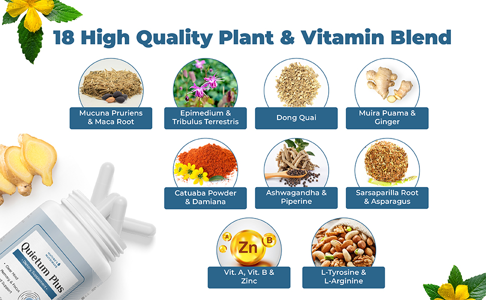 Quietum Plus Side Effects: Is It Safe for Daily Use?