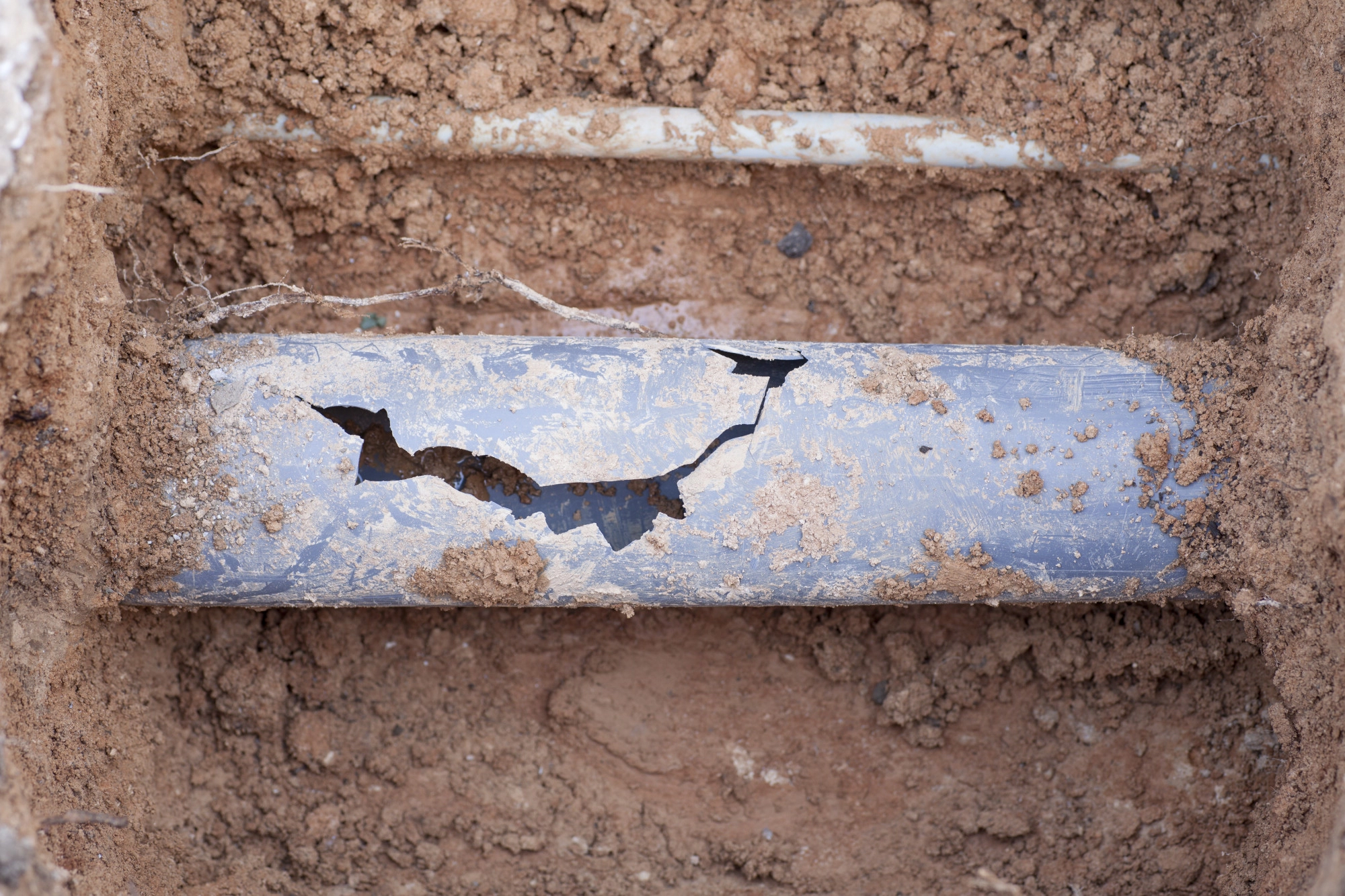 Why Choosing a Reliable Plumbing Company and Emergency Plumber Is Essential for Every Home