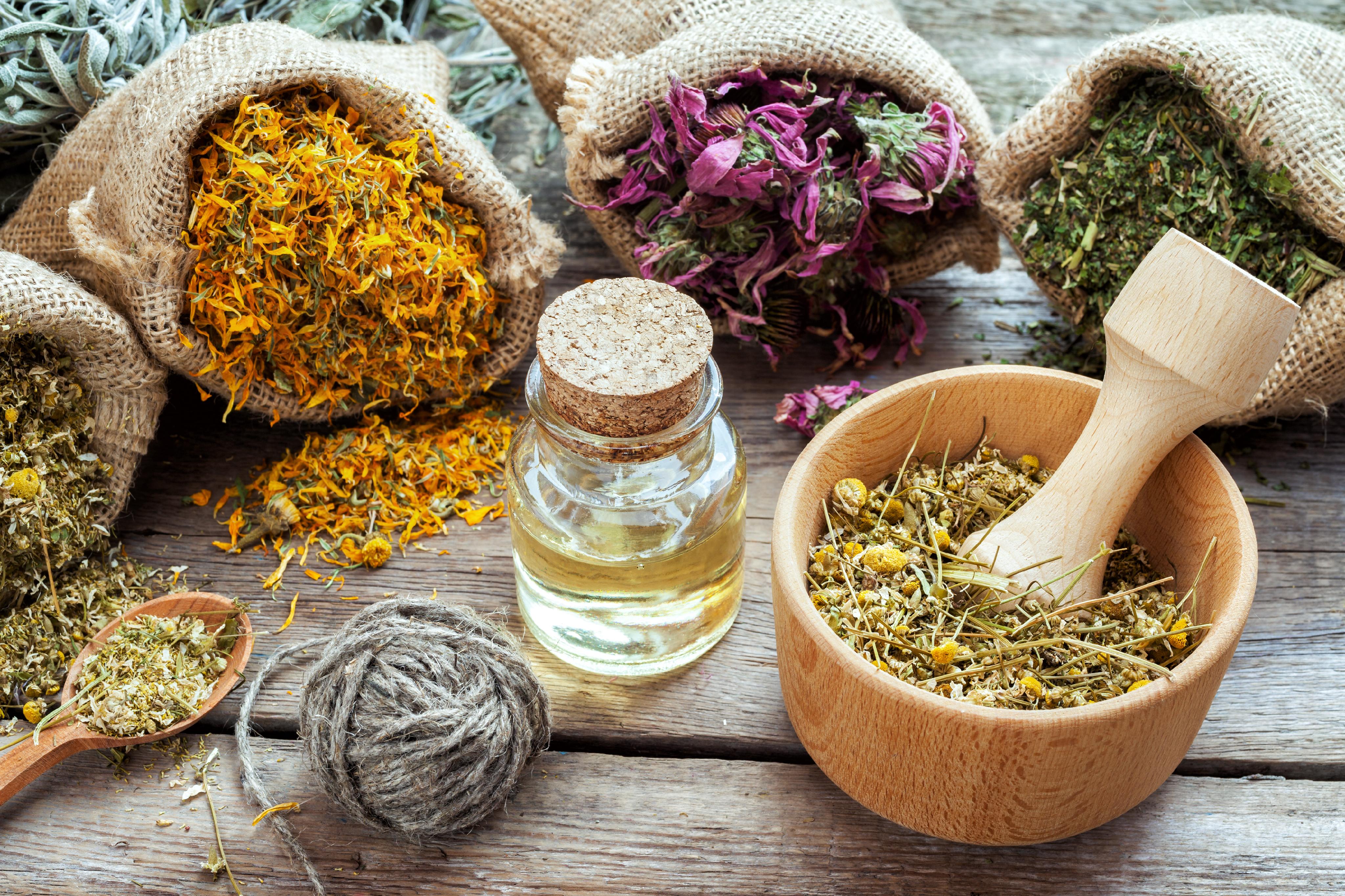 Wholesale Medicinal Herbs – Trusted Bulk Supply from Sacred Plant Co