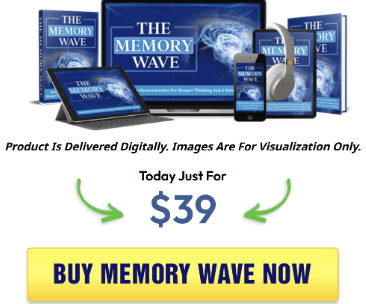The Memory Wave: Training the Brain to Retain Information Neuroscience of Memory and Recall!