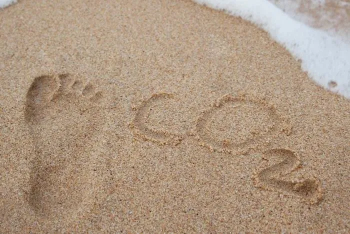 Achieve Sustainability Goals with Real-Time Carbon Reporting