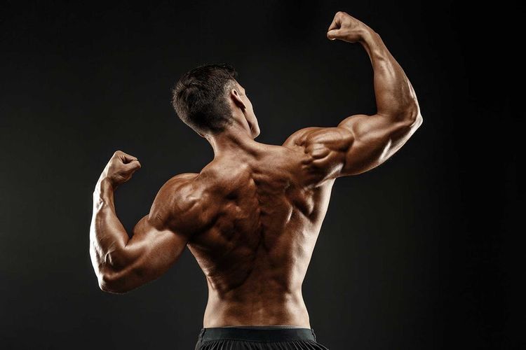 Best SARMs Explained: What They Are, Why They’re Popular, and What to Know