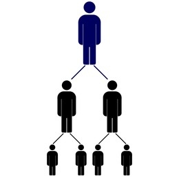 Binary MLM Plan: Its Impact, and the Top Binary MLM Companies