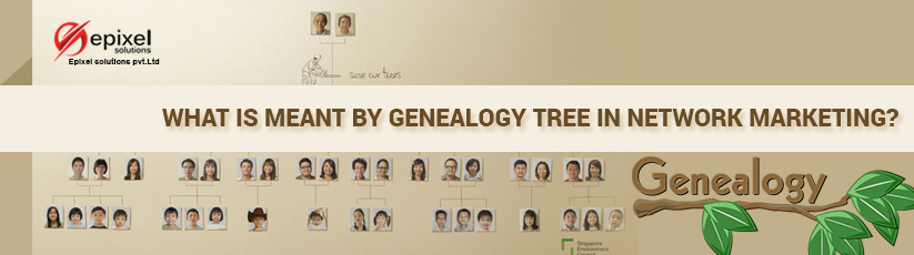 All about genealogy tree in network marketing