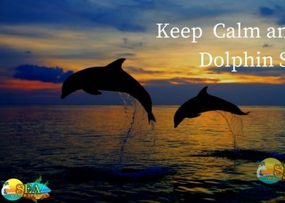 Keep Calm & Enjoy Dolphin Safari Water Sports In Goa