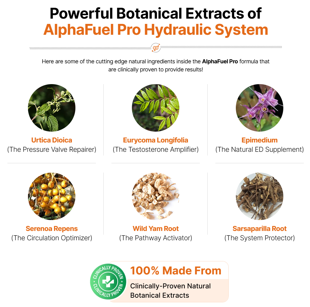 Alpha Fuel Pro Australia – Does It Improve Confidence Naturally?