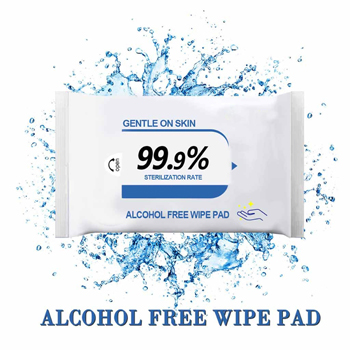 Buy Personalized Wet Wipes for Marketing Brand Name