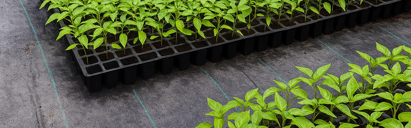 Why Weed Control Mats Are Replacing Manual Weeding & Herbicides in Modern Farming