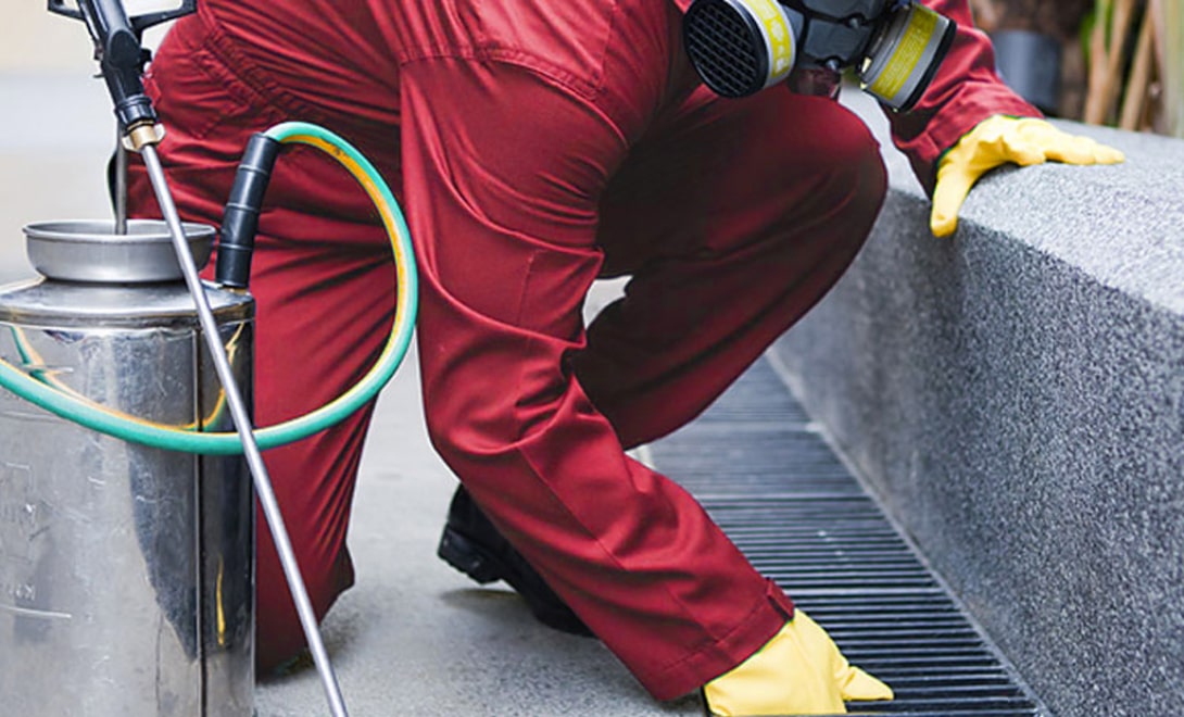 Pest Control Service Liberty Hill