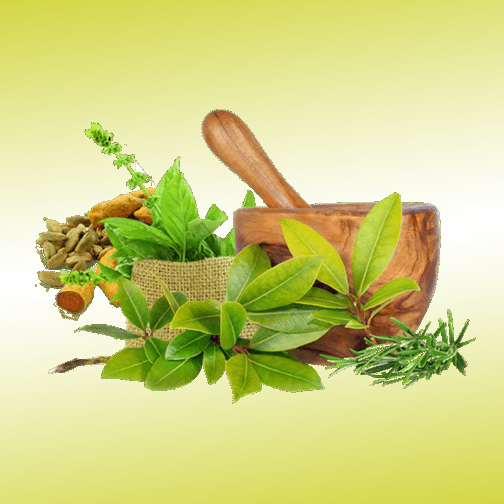 How to Access an Authentic Ayurvedic Wholesaler in Uttam Nagar?