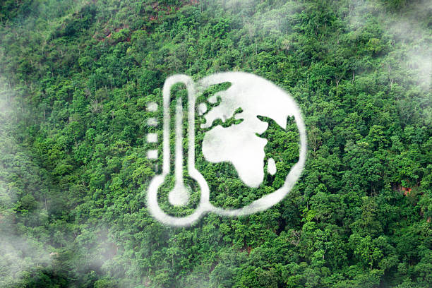 Beyond Operations: The Role of Business in Addressing Climate Change