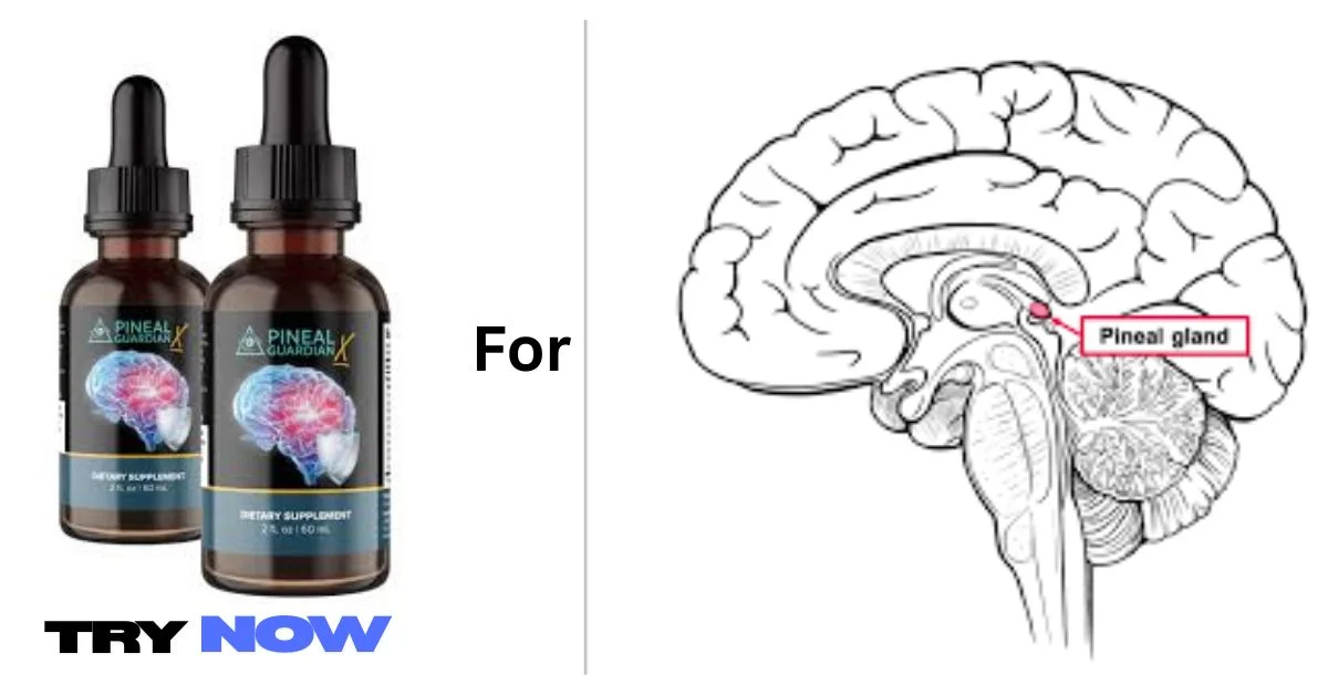 Pineal Guardian X 2026 Legit Or Another Advertised SCAM?
