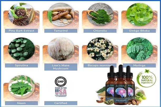 Pineal Guardian X "Genius" (ALERT!) Is it Safe?