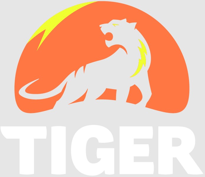 Solar Croydon by Tiger Solar Powering Smarter, Cleaner Local Energy